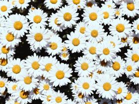 《再见七月,你好八月》